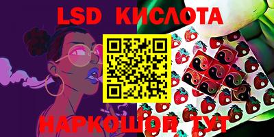 прущие грибы Малгобек