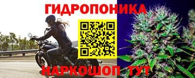 мяу мяу мука Мариинск