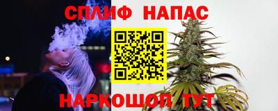 прущие грибы Малгобек