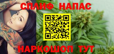 прущие грибы Малгобек