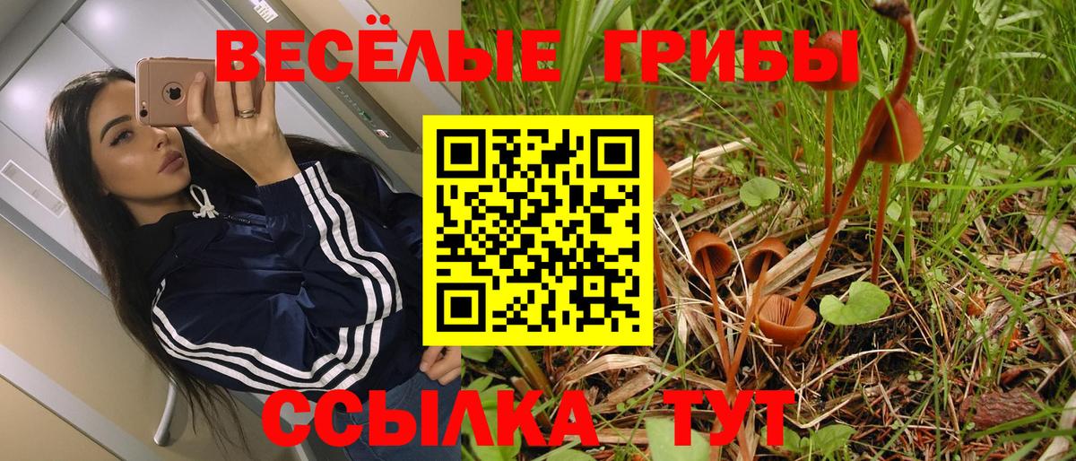 Тельмана  Псилоцибиновые грибы Cubensis  Вход с VPN 